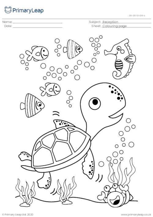 Foundation louring page sea turtle worksheet