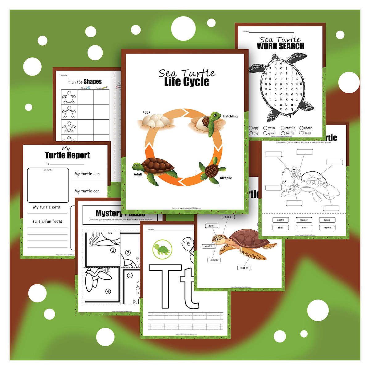 Free printable sea turtle activity pack for kids