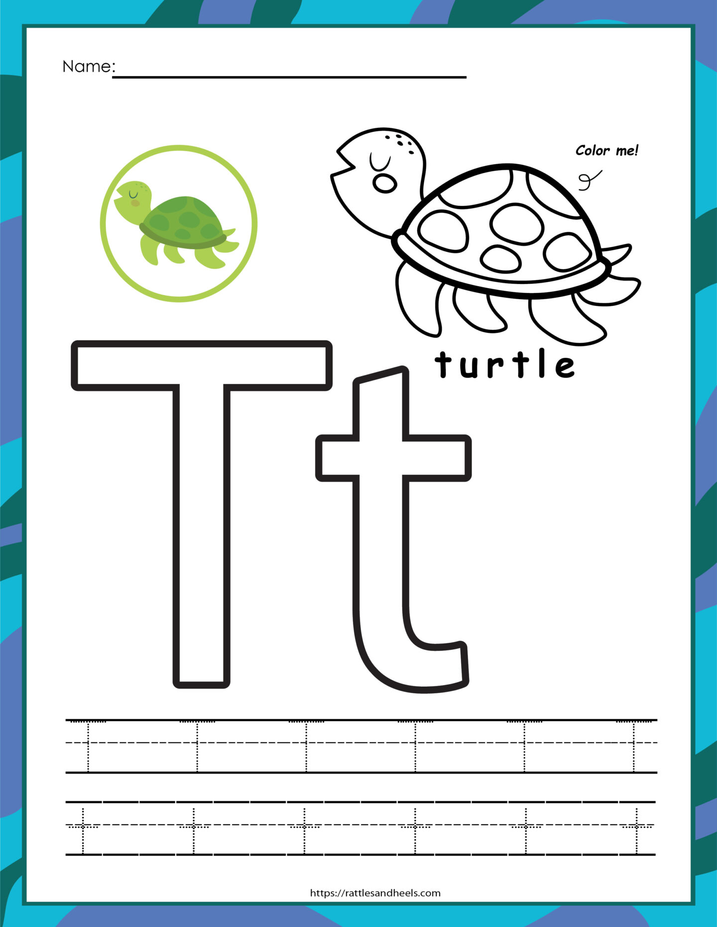 Sea turtles activity sheets