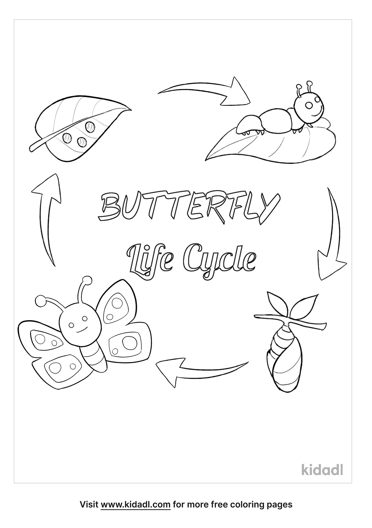 Free life cycle of a butterfly coloring page coloring page printables
