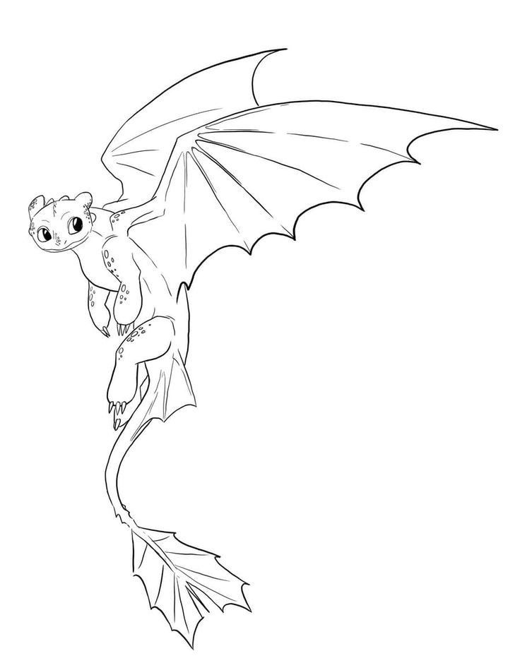 Coloring page dragon coloring page dragon sketch small dragon tattoos