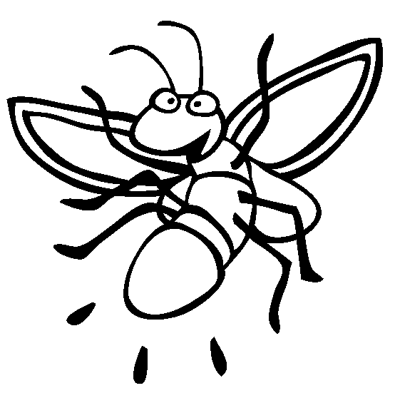 Firefly coloring page