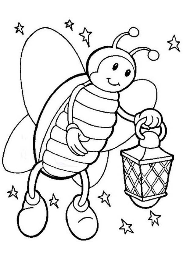 Firefly on starry night hold a lamp coloring page color luna coloring pages bug coloring pages funny coloring book