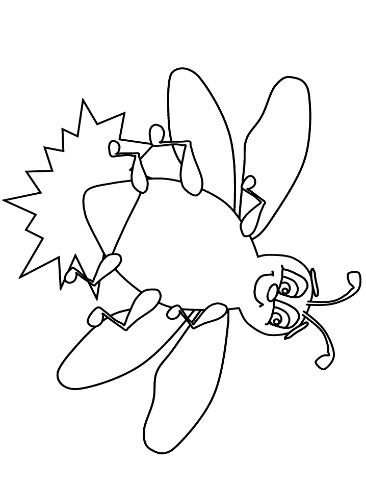Lightning bug