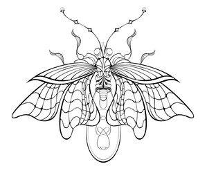 Tattoo insect firefly vector images