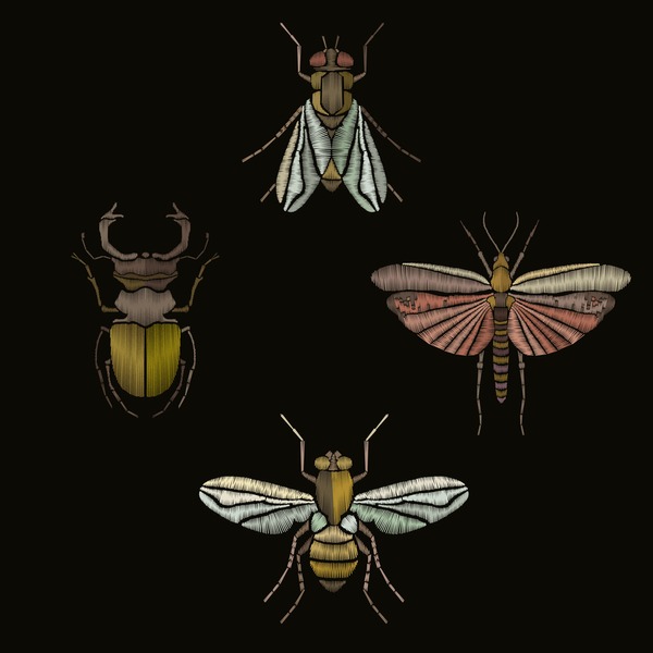 Beetle embroidery royalty