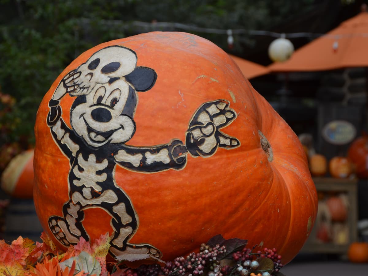 Awesome disney pumpkin patterns for halloween photos and tips