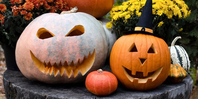 Best pumpkin carving ideas for halloween