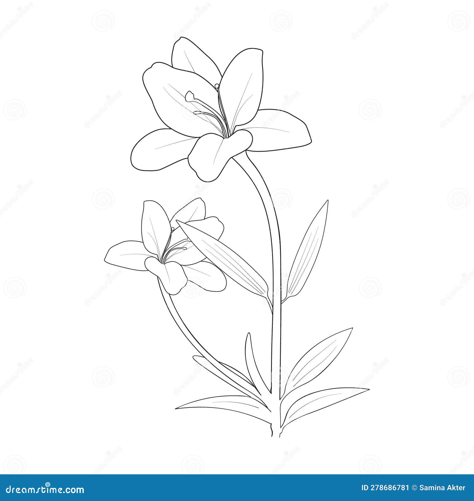 Simple lily flower drawing for kids lily flower coloring page for children lily flower outline line art lily flower stock vector