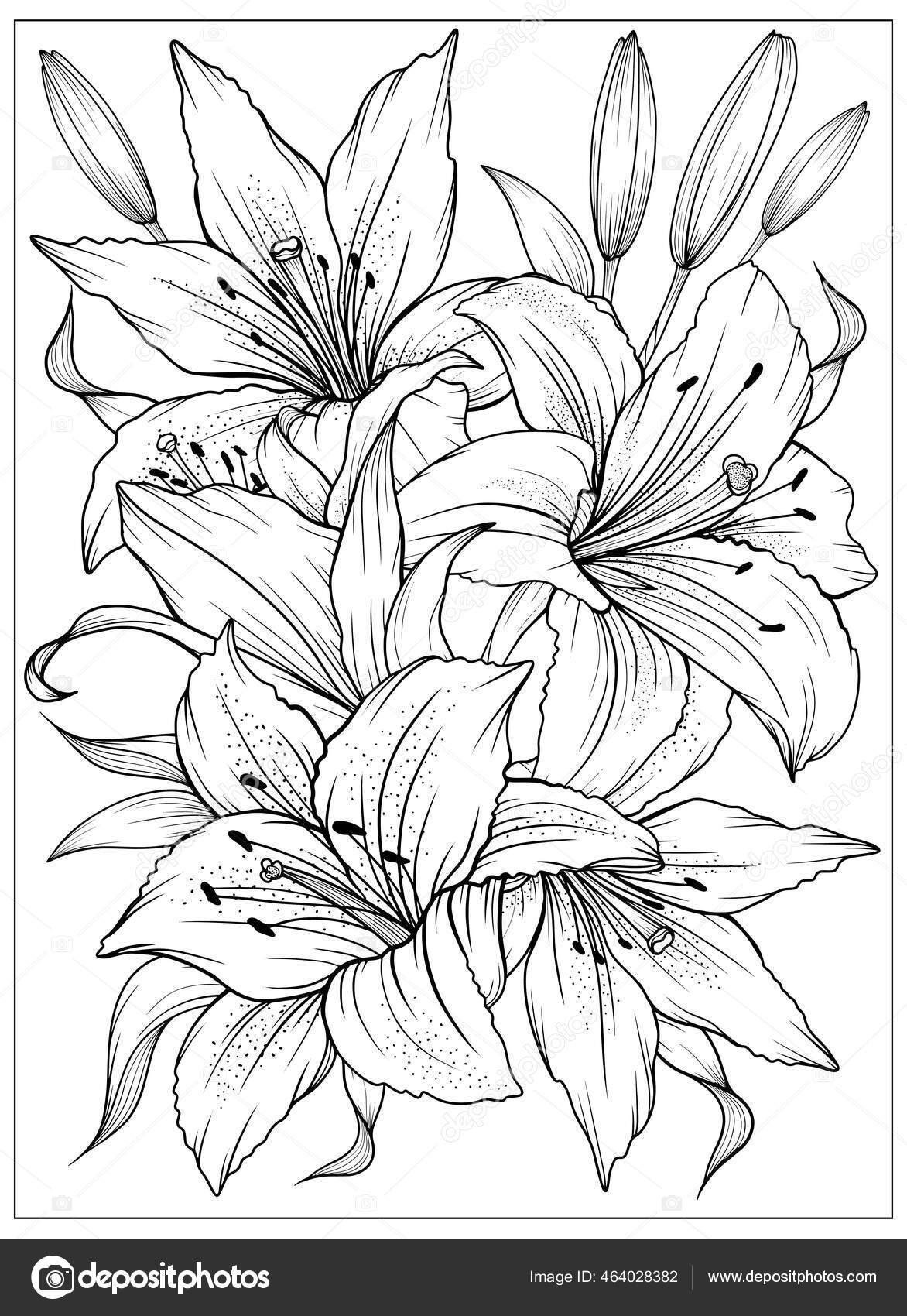 Coloring page lilies leaves vector page coloring flower colouring page stock vector by caraulanart