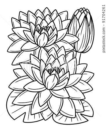 Water lily flower coloring page for adults