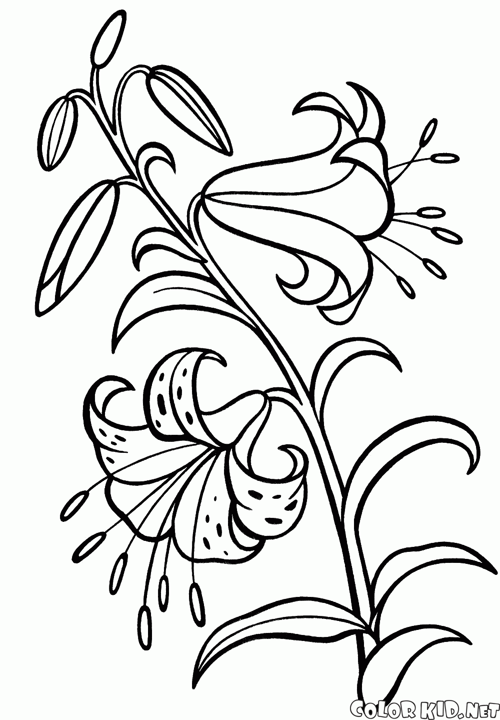 Coloring page