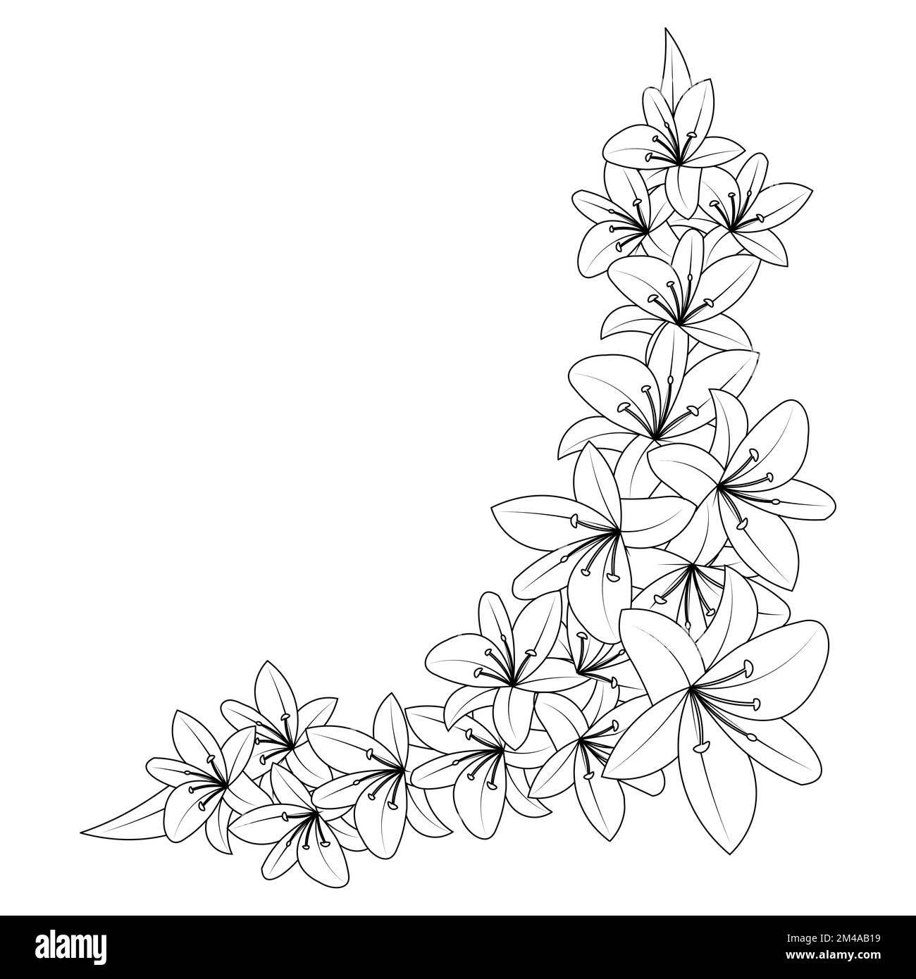 Lily flower coloring page book illustration with decorative line art vector and lilium drawing flower stock vector image art