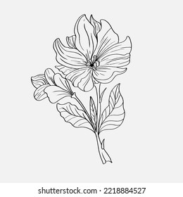 Coloring pages beautiful lily flowers printables stock vector royalty free