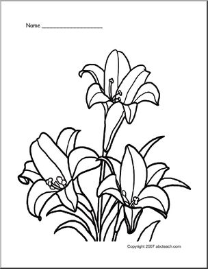 Coloring page lilies