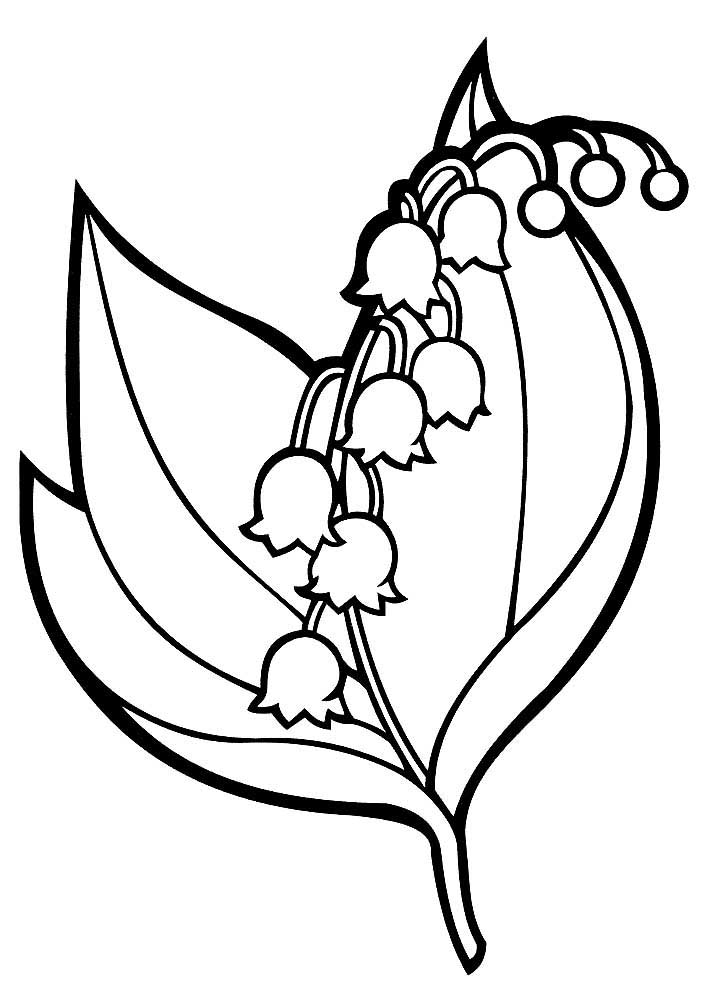 Lily of the valley coloring pages to download and print for free