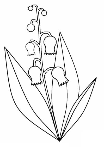 Very easy lily of the valley coloring page