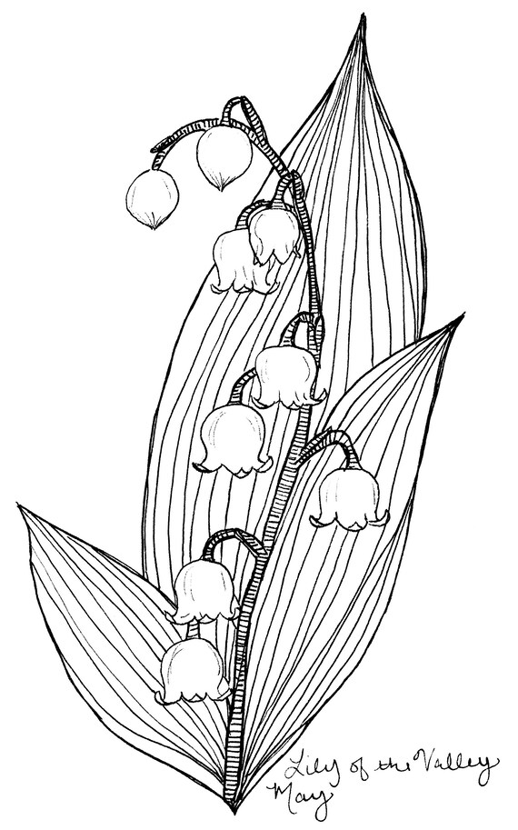 Lily of the valley may birth flower art print black and white floral drawing flower wall decor may birthday gift may baby gift
