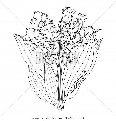 Vector bouquet vector photo free trial bigstock