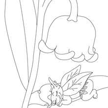 Lily of the valley and fairy coloring pages