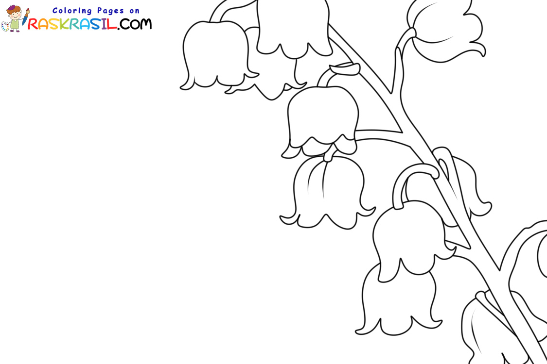 Lily of the valley coloring pages