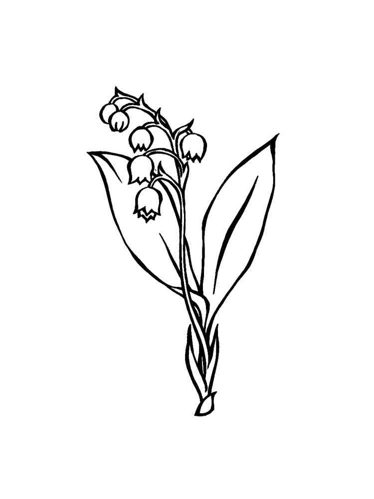 Lily of the valley coloring pages