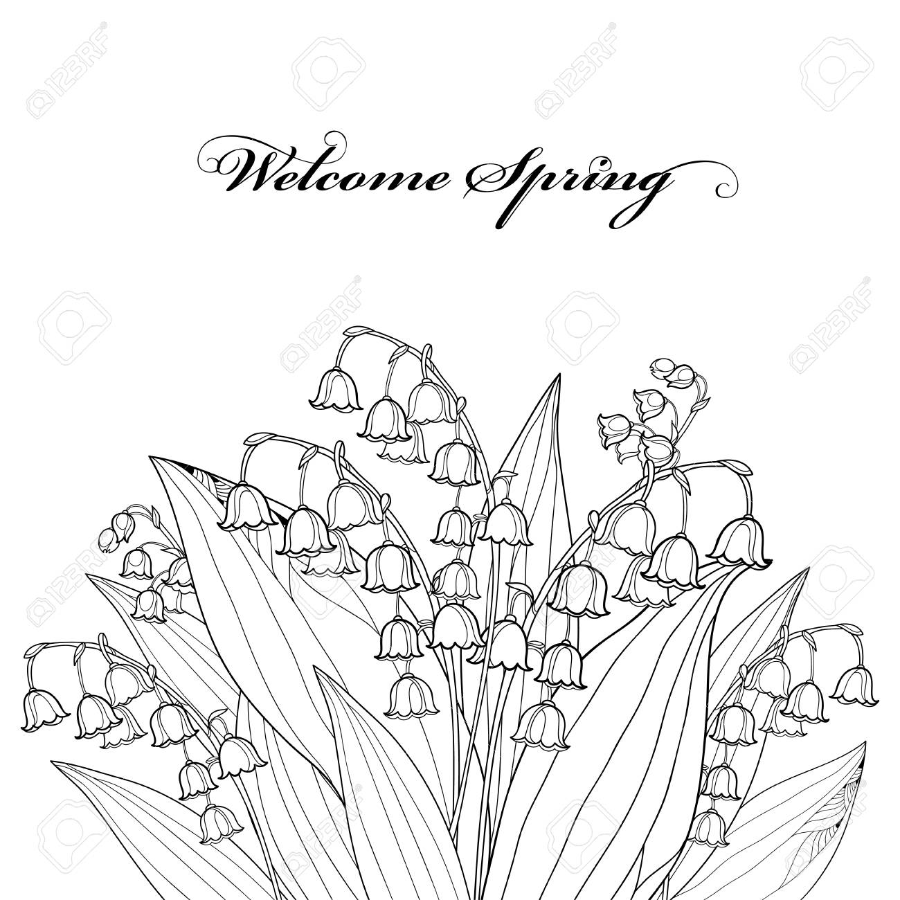 Bouquet with outline lily of the valley or convallaria flower and leaf in black isolated on white background ornate may bells in contour style for spring design greeting or coloring book royalty