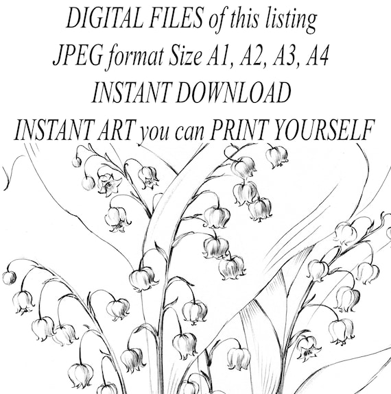 Lily of the valley sketch may birth flower large print flower coloring page line drawing botanical prints a hygge black white