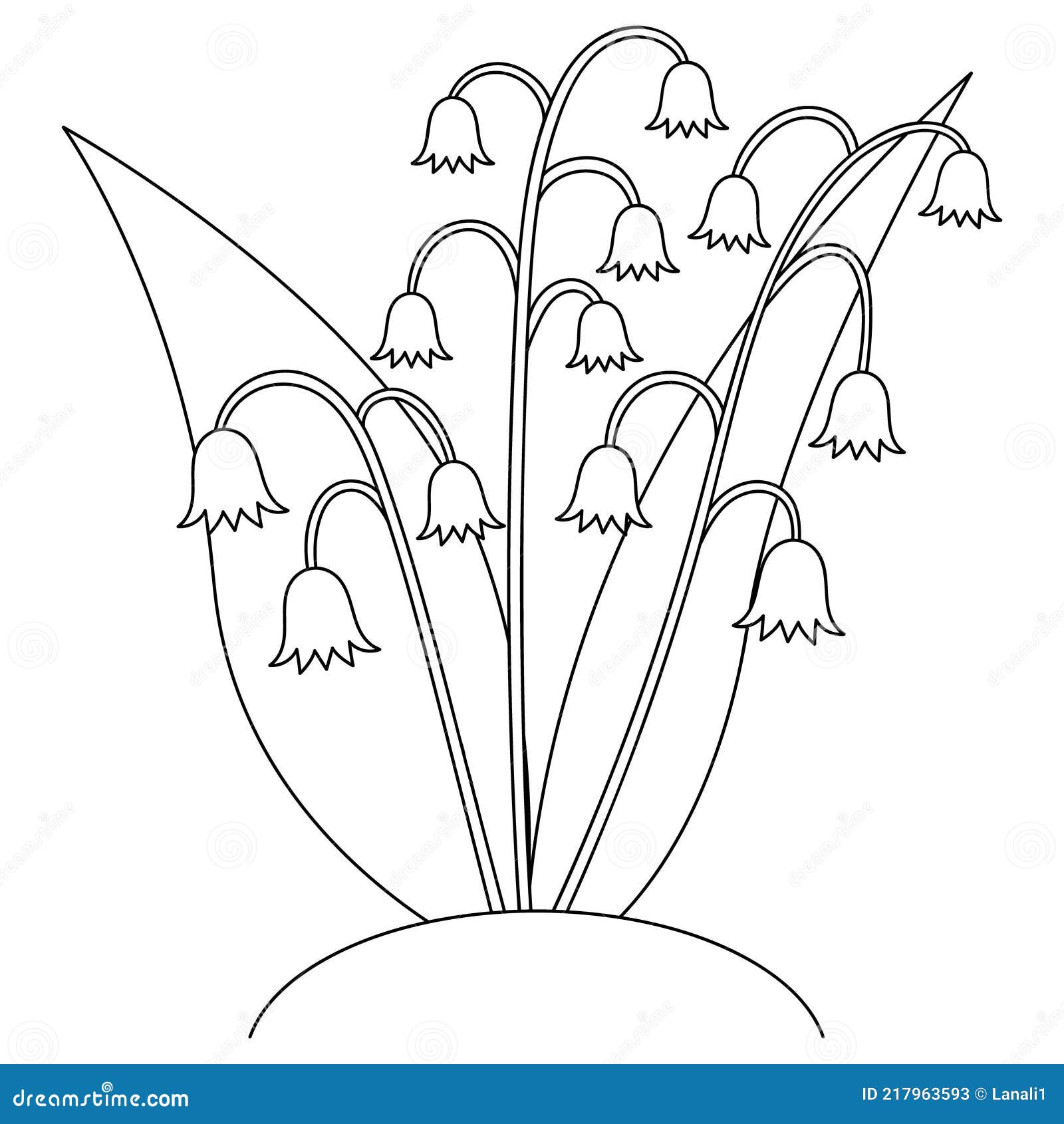 Lilies of the valley sketch delicate flowers spring bells vector illustration coloring book for children flowering plant stock vector