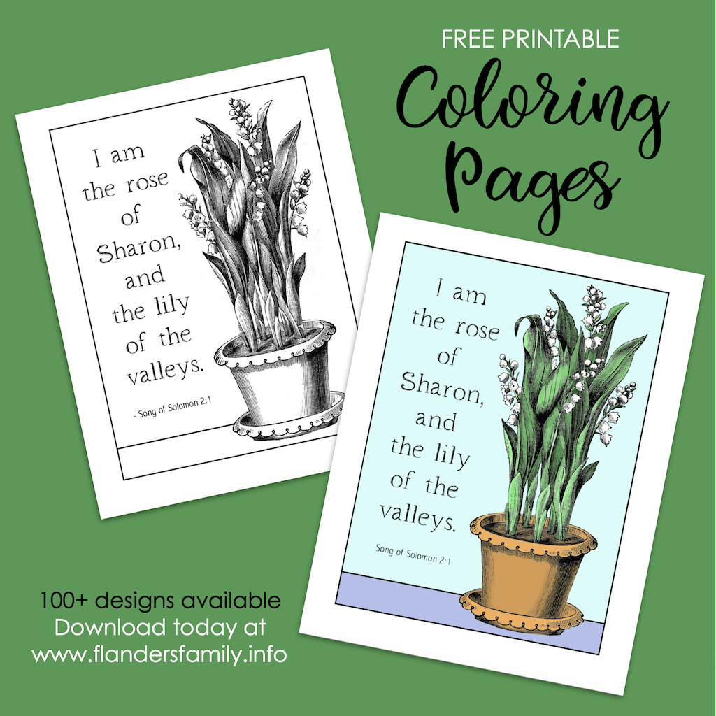 Lily of the valley coloring page