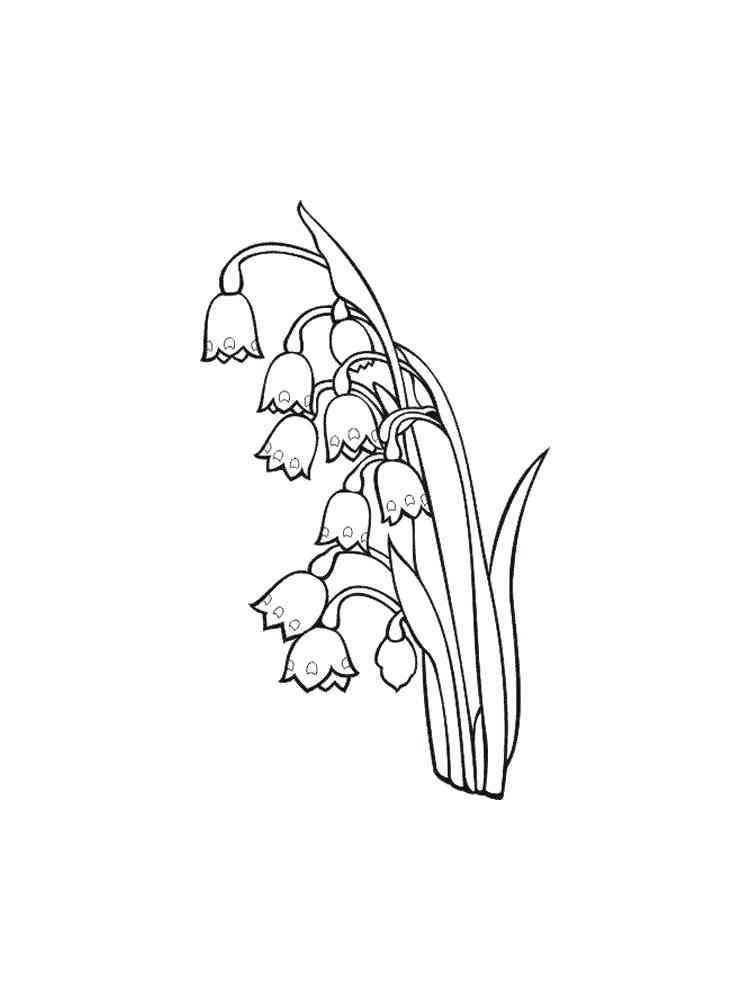 Lily of the valley coloring pages