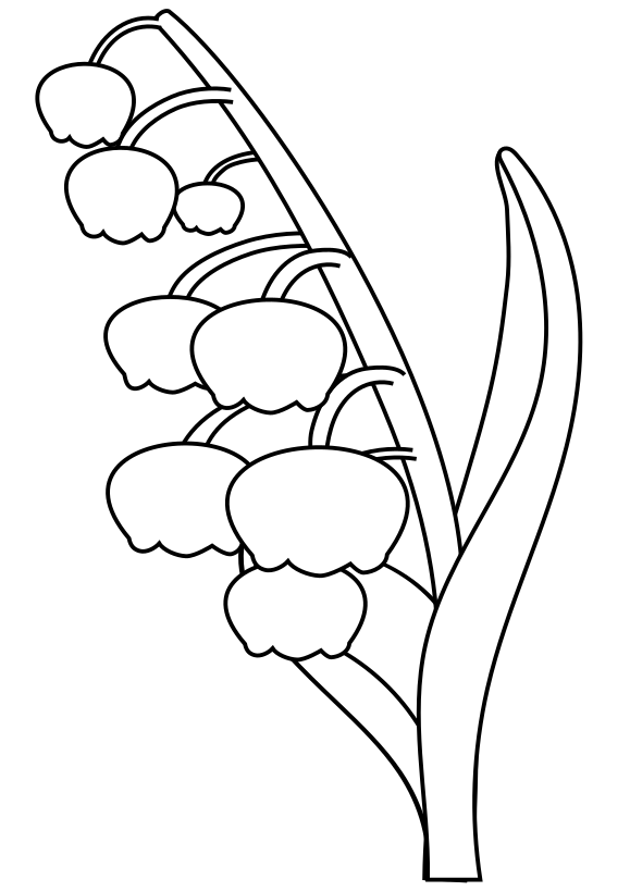Lily of the valley drawing for coloring page free printable nurieworld