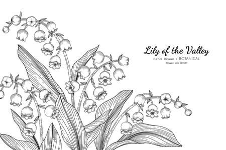 Lily of the valley line art stock vector illustration and royalty free lily of the valley line art clipart