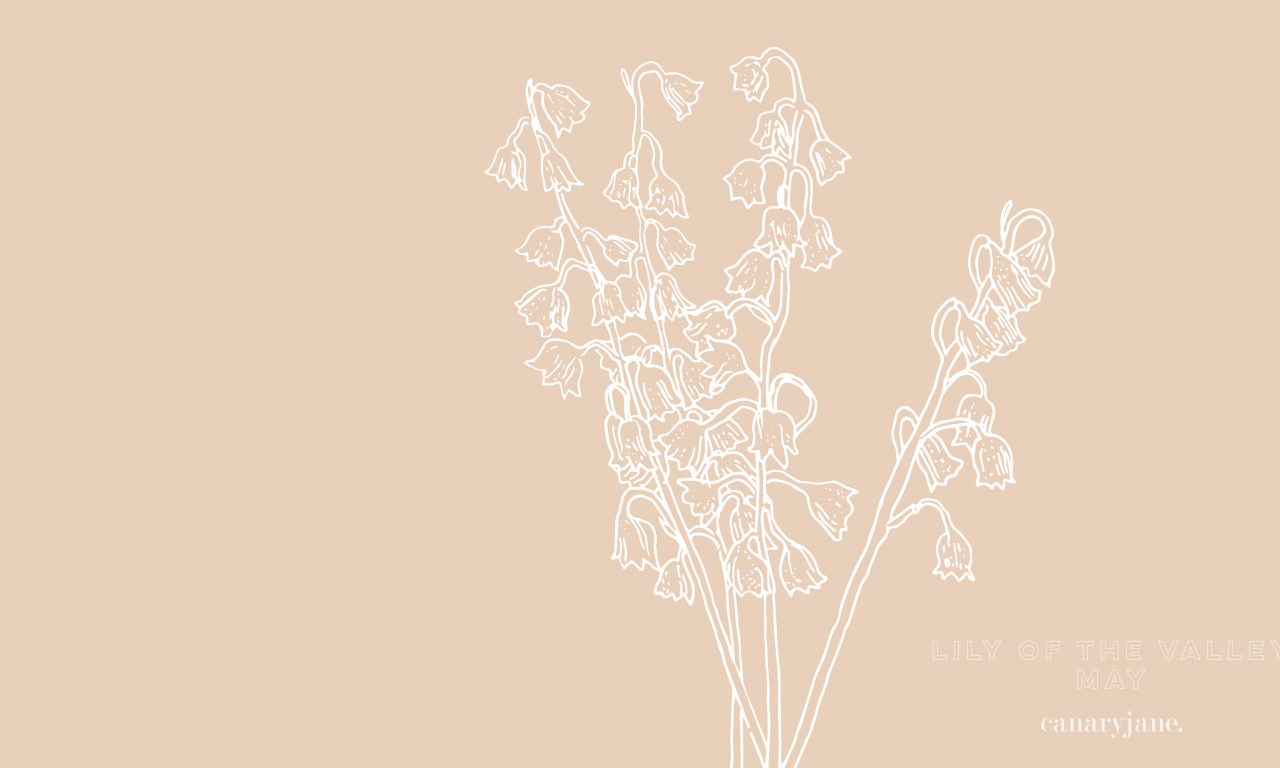 May lily of the valley birth flower background coloring page