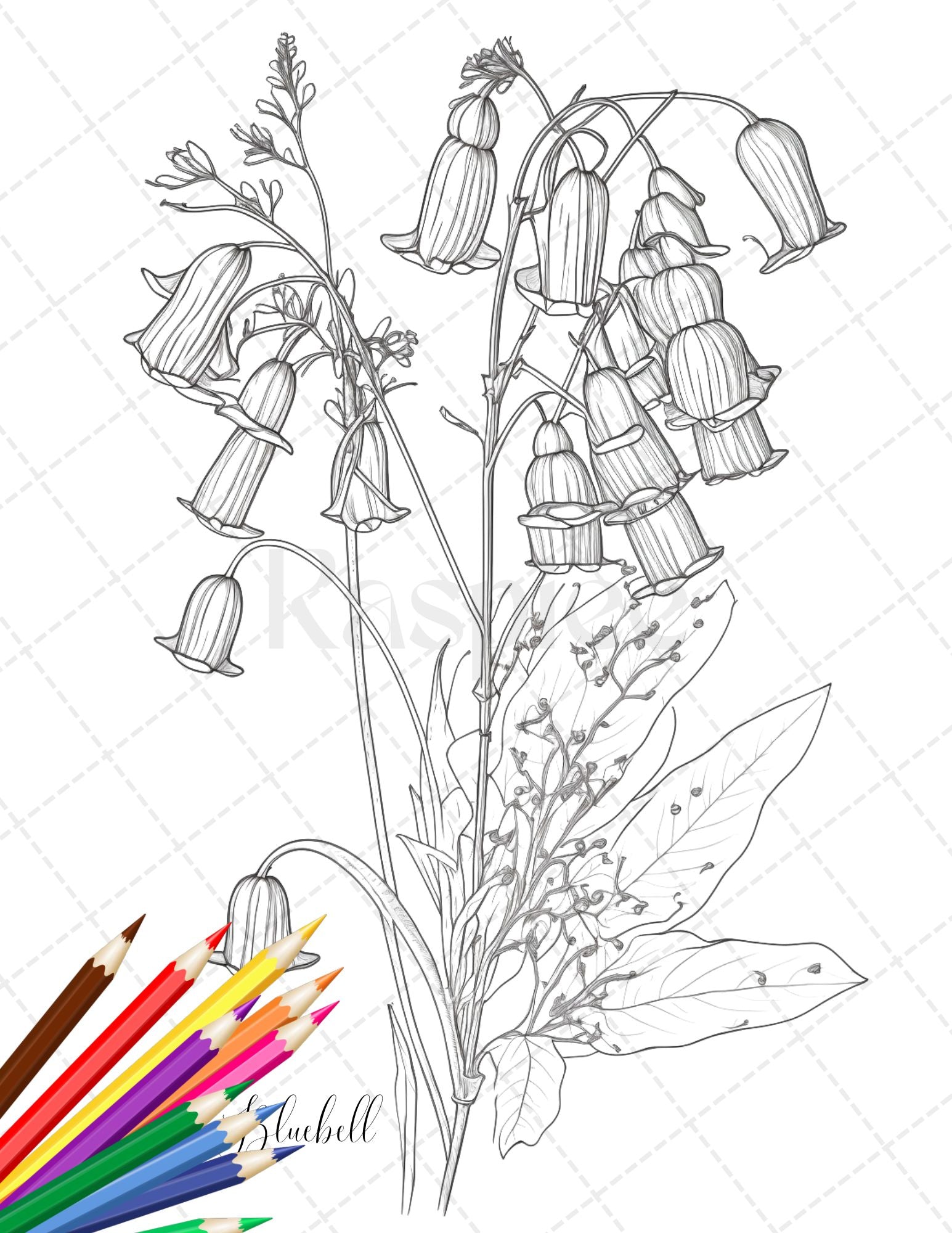 Botanical flowers printable coloring pages for adults floral grays â coloring