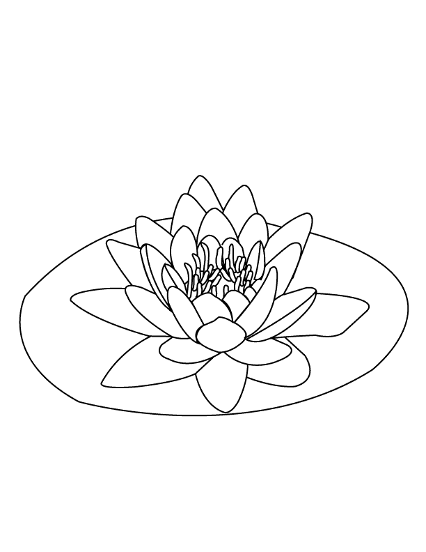 Coloring pages