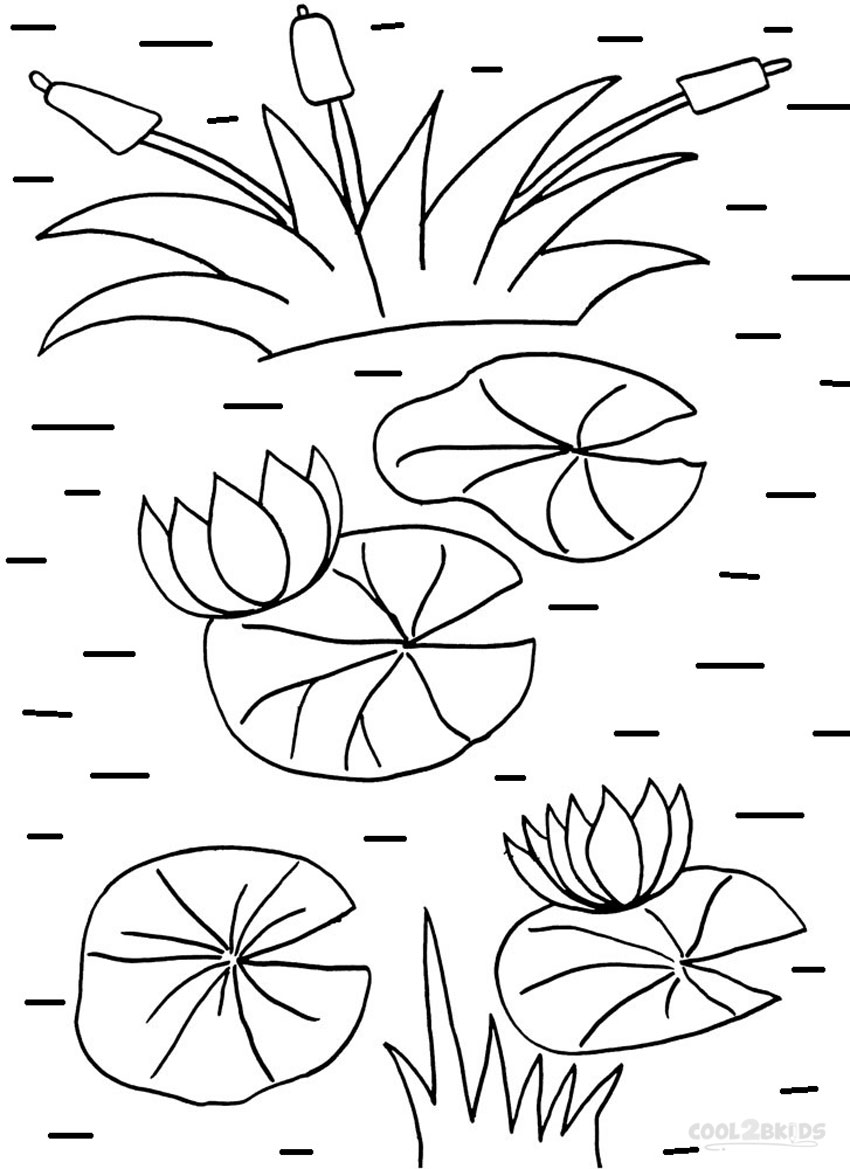 Printable lily pad coloring pages for kids