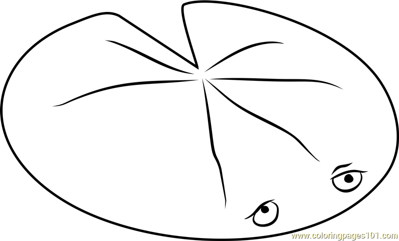Lily pad coloring page for kids