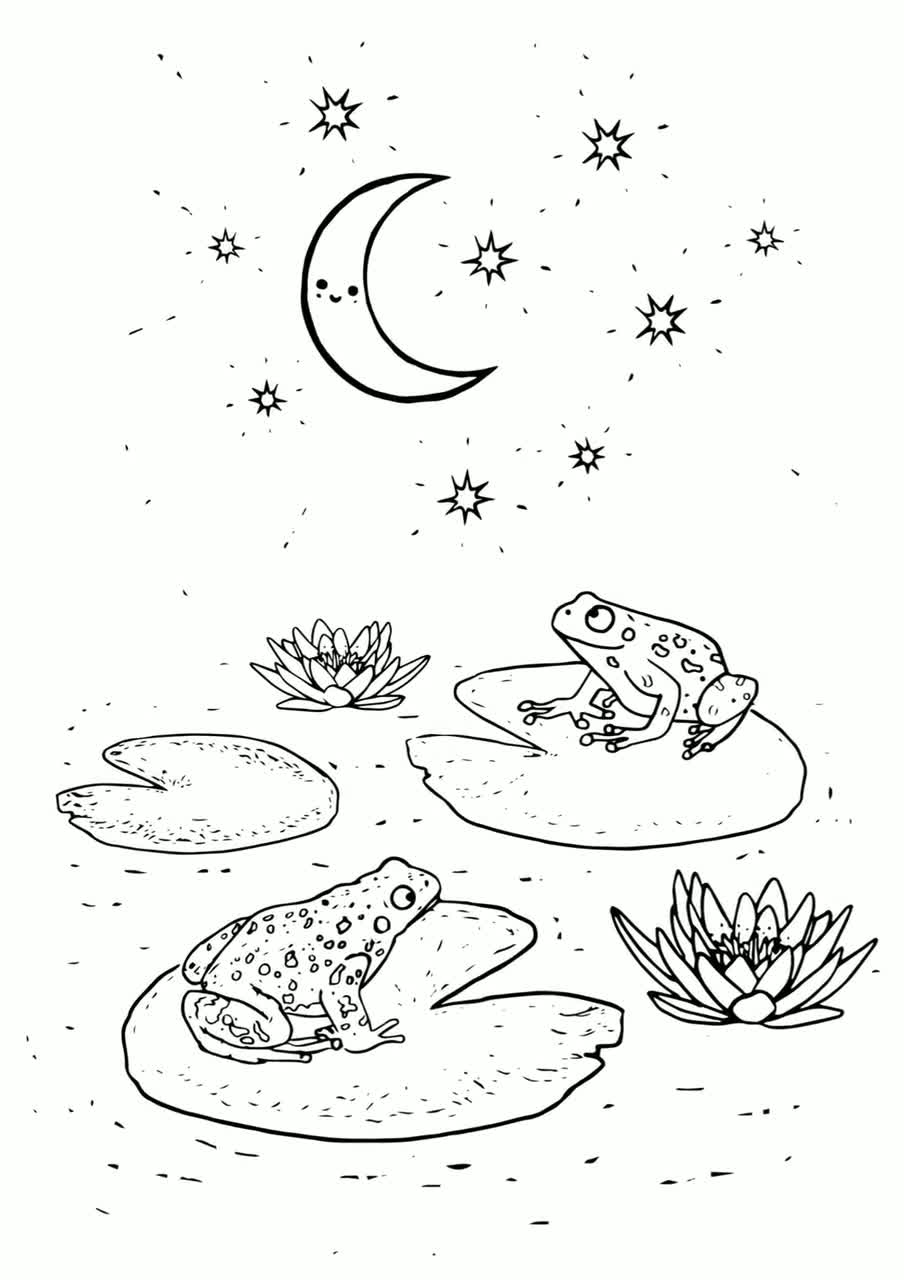 Buy frog colouring in sheet cute frogs on lily pads printable colouring page online in india