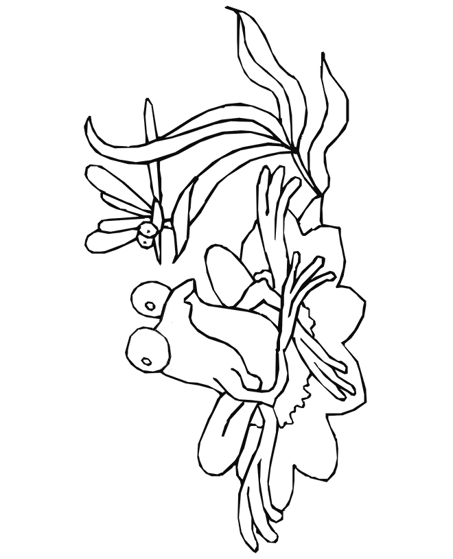 Frog coloring page frog and a dragonfly