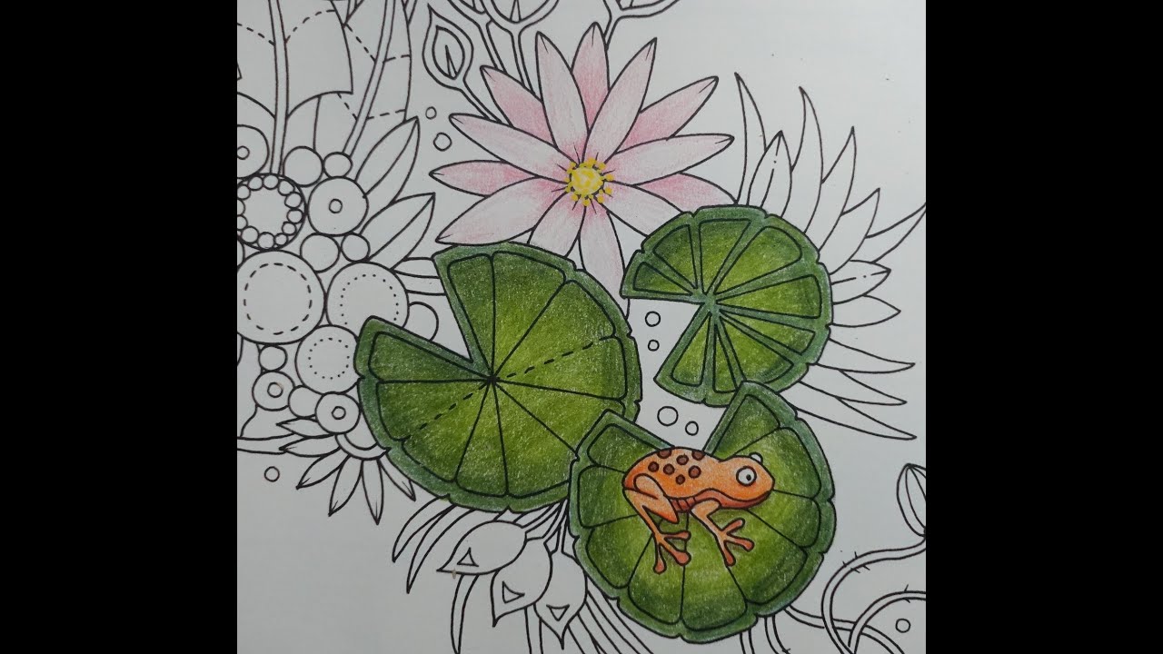 Adult colouring tutorial lily lily pad and frog fro the johanna basford weekly planner