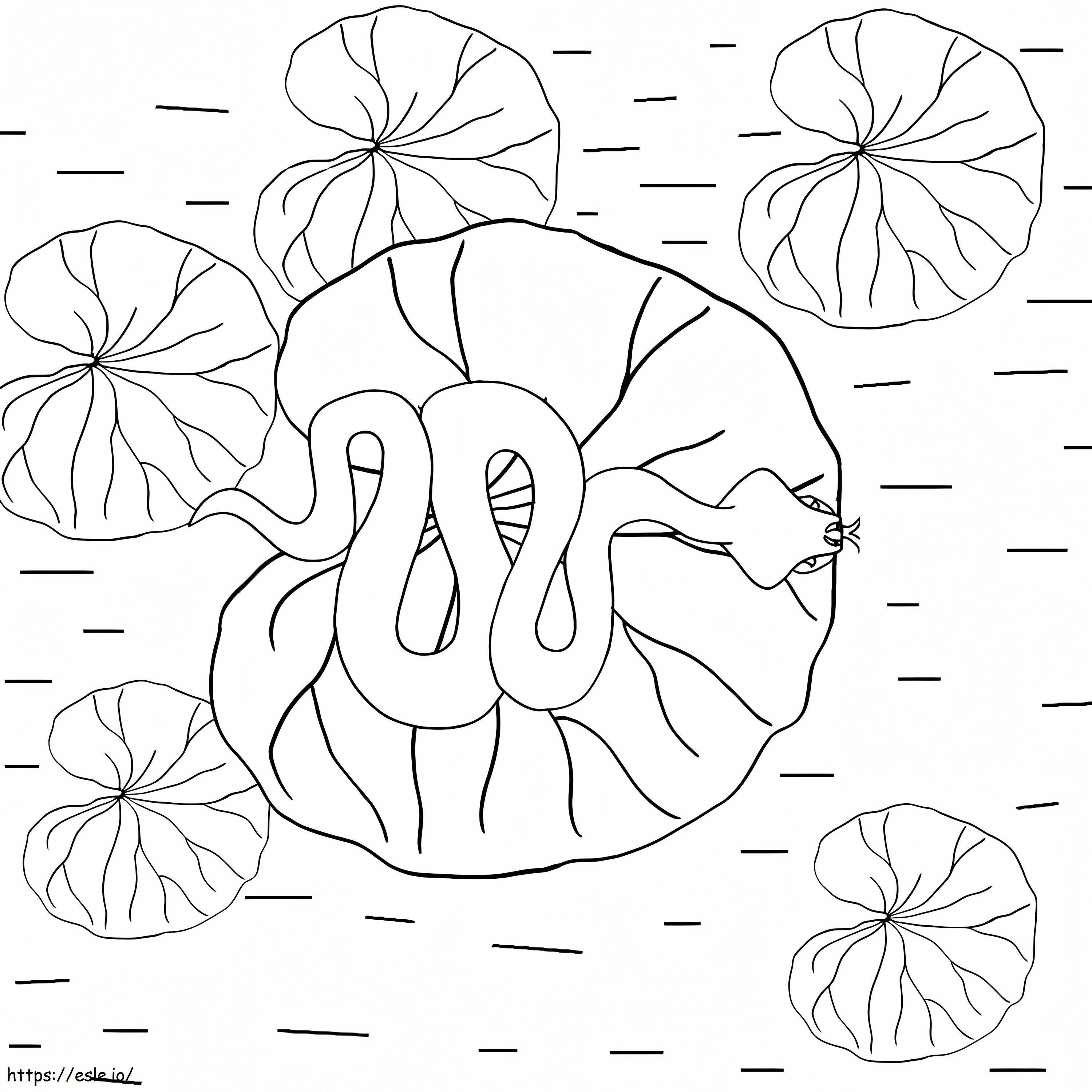 Snake on lily pad coloring page