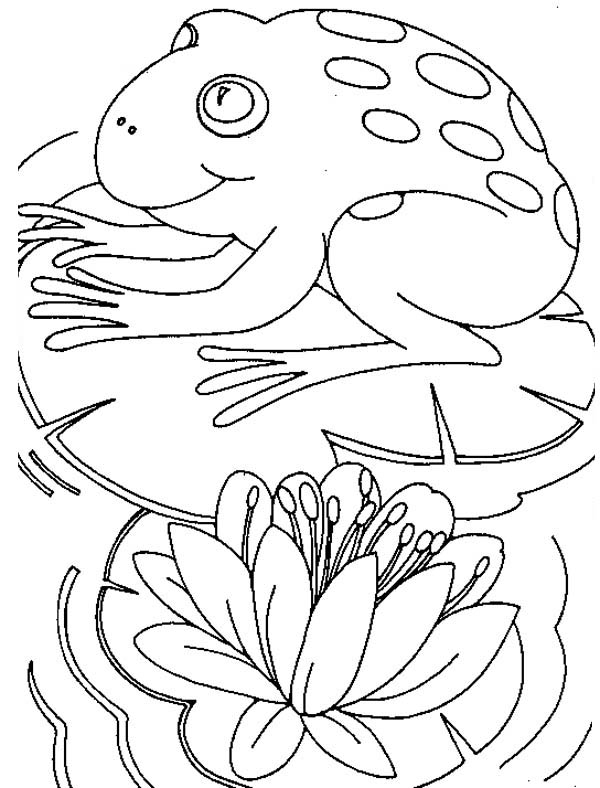 Big frog sitting fortably on lily pad coloring page color luna