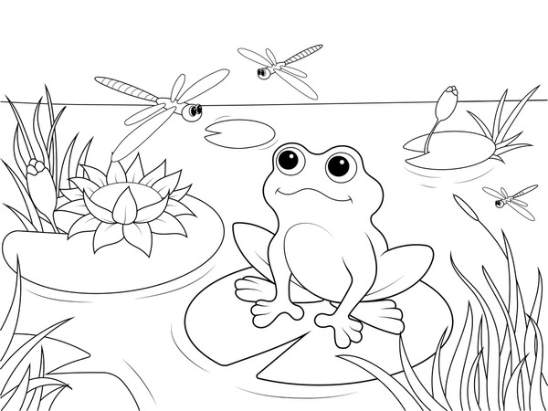 Coloring pages adults dragonflies åçãåºåç çãd çäåçéå