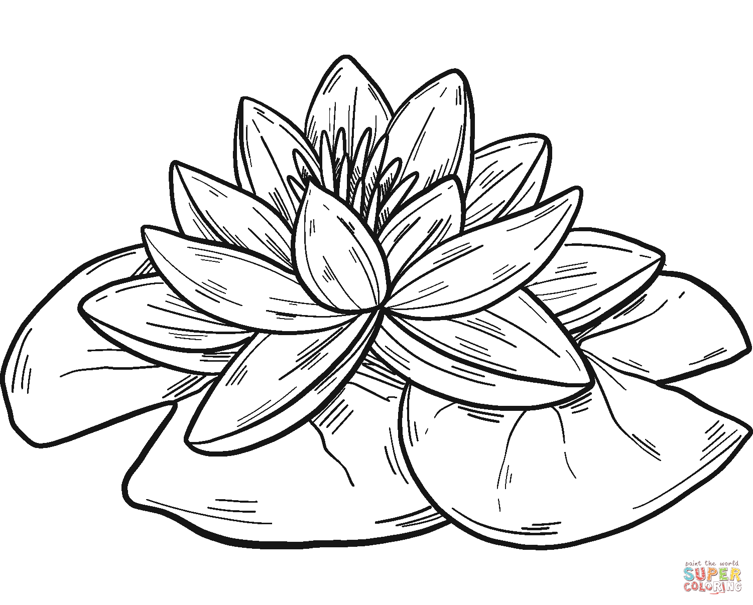 Water lily coloring pages