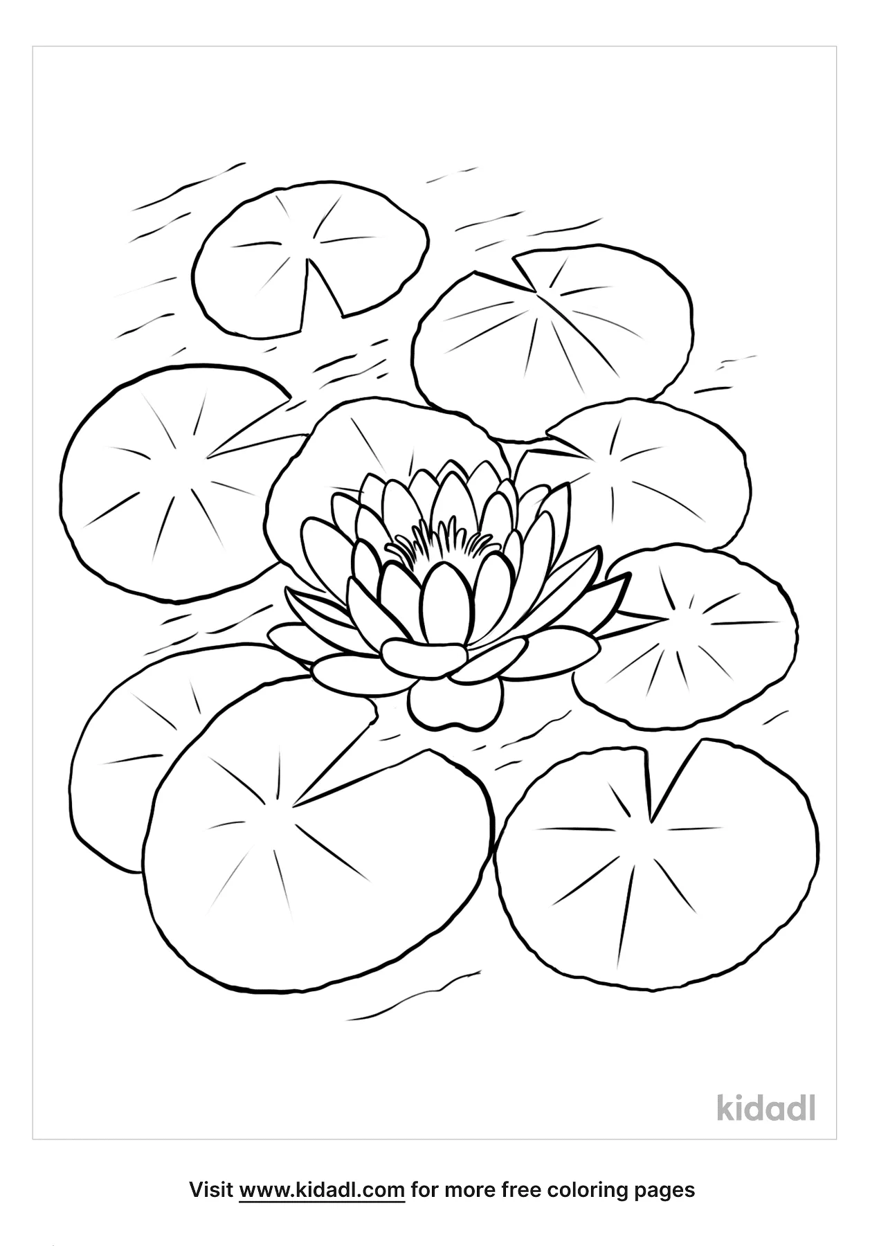 Free lilypad coloring page coloring page printables