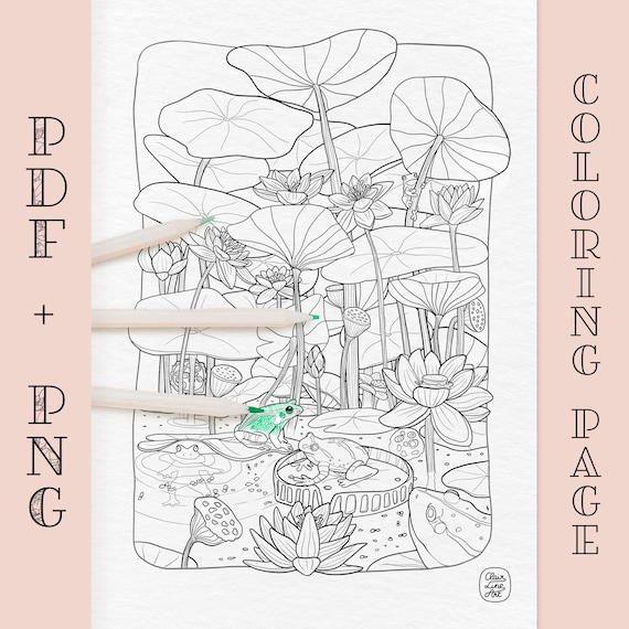 Frogs pond coloring page to download pdf png a format line art with lily pads flowers happy amphibians chilling by the pond