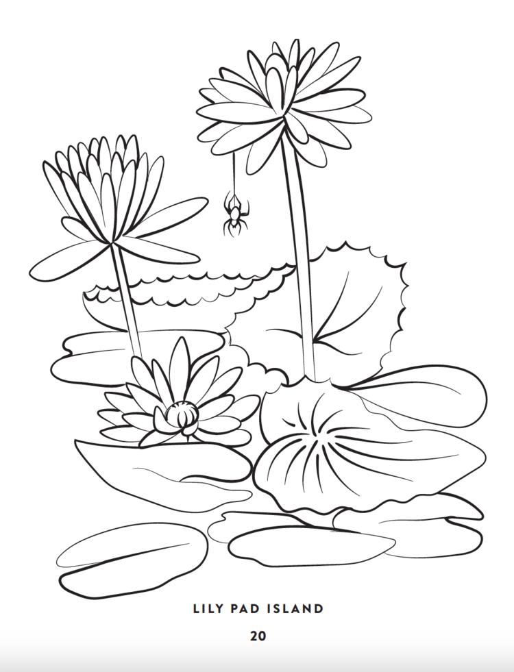 Simple studies meadow creatures â simple studies