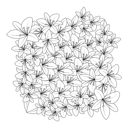 Lily flower coloring page book illustration with decorative line art vector and lilium drawing flower stock illustration