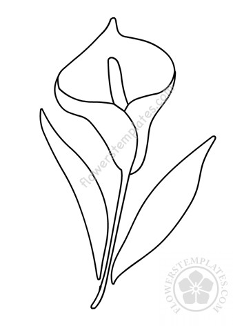 Calla lily coloring page